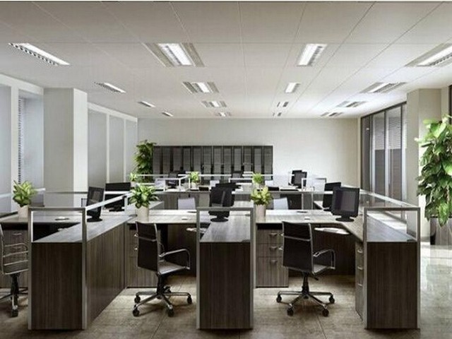 仁化大型输送带哪里好